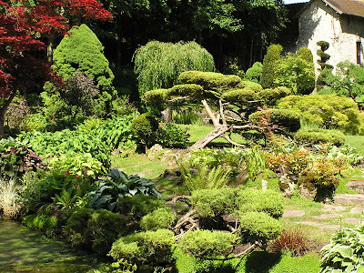 Mon domaine,donc le domaine de Tsuyosa Courances jardin japonais2